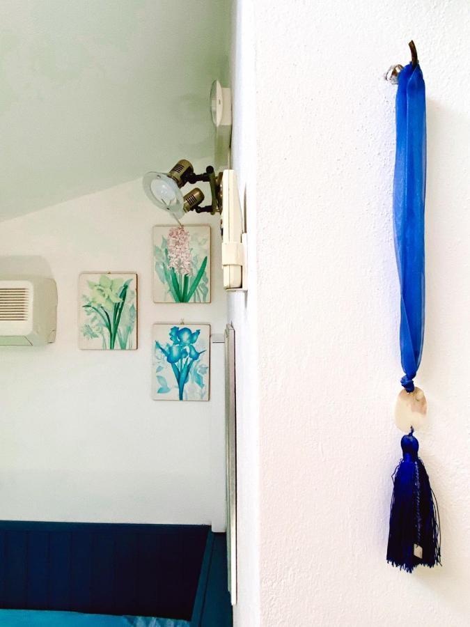 Al Vecchio Pioppo Bed & Breakfast Praia a Mare Luaran gambar
